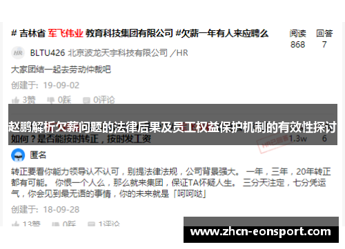赵鹏解析欠薪问题的法律后果及员工权益保护机制的有效性探讨