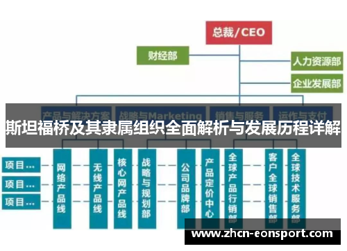 斯坦福桥及其隶属组织全面解析与发展历程详解