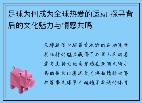 足球为何成为全球热爱的运动 探寻背后的文化魅力与情感共鸣